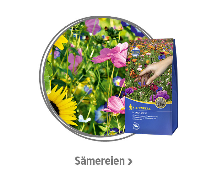 Sämereien