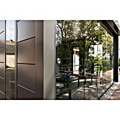 Telluria Schiebewand (445 x 240 cm, Glas, Passend für: Telluria Gerätehaus Singolo 4836) | BAUHAUS