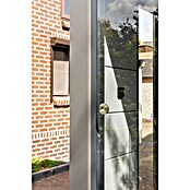 Telluria Schiebewand (267,4 x 200 cm, Glas, Passend für: Telluria Gerätehäuser Lounge S) | BAUHAUS