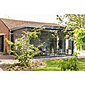 Telluria Pérgola Singolo 4836 con ventanas (Medidas ext. (An x Pr): 508 x 388 cm, Acero, Antracita, Sin set) | BAUHAUS