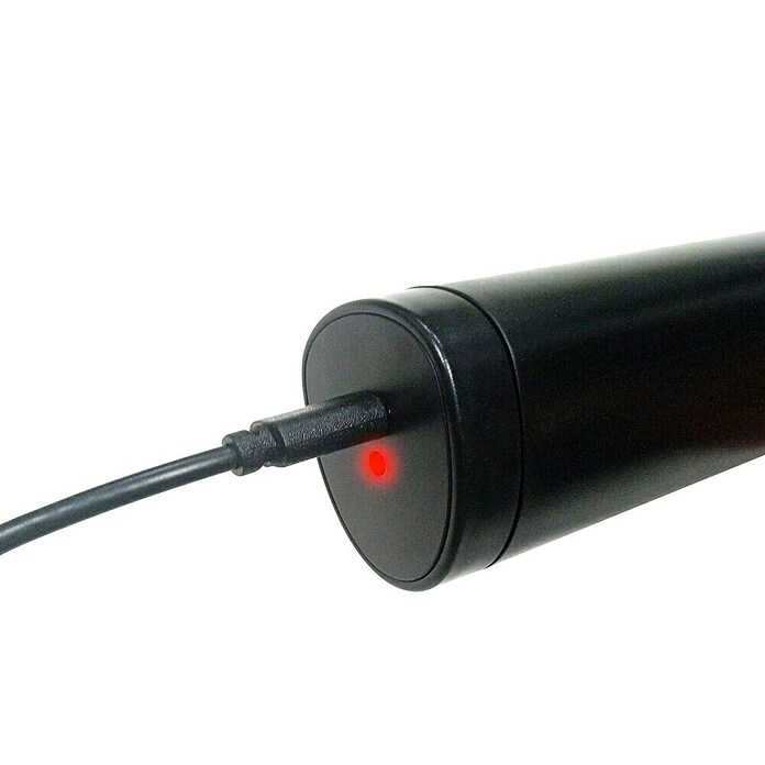 Aspirador de mano de batería Dual Power (7,4 V, 2 baterías, 2,5 Ah, Volumen de recipiente: 100 ml) | BAUHAUS