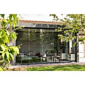 Telluria Pérgola Singolo 4836 con ventanas (Medidas ext. (An x Pr): 508 x 388 cm, Acero, Antracita, Sin set) | BAUHAUS