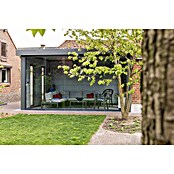 Telluria Pérgola Singolo 4836 con ventanas (Medidas ext. (An x Pr): 508 x 388 cm, Acero, Antracita, Sin set) | BAUHAUS