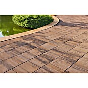 Seesteiner Pflasterstein Piazza (L x B x H: 50 x 50 x 4 cm, Mediterran) | BAUHAUS