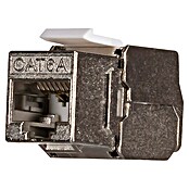 Ion Connector UTP CAT 6 (UTP - CAT6) | BAUHAUS