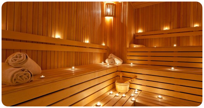 wellness bio sauna