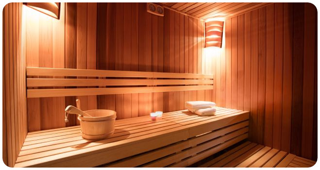 wellness vrste sauna