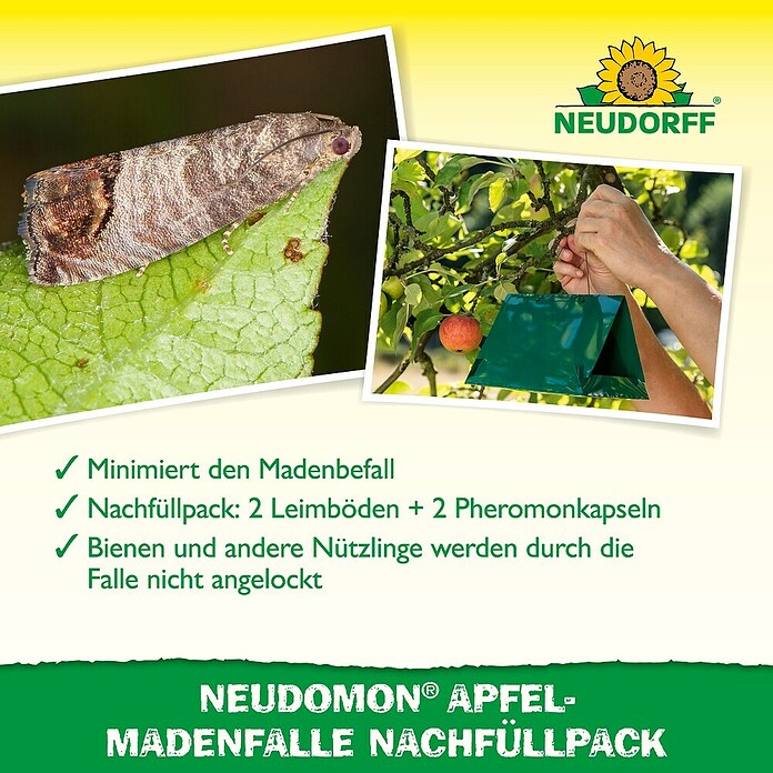 Neudorff Neudomon Obstmaden-Falle Nachfüllpack (Wirkungsdauer: 6 Wochen, Insektizidfrei) | BAUHAUS