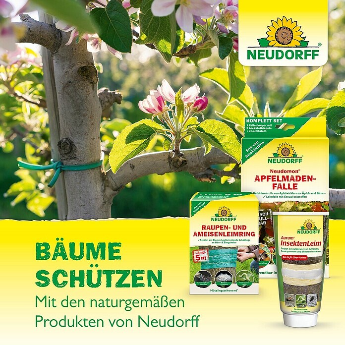 Neudorff Neudomon Obstmaden-Falle Nachfüllpack (Wirkungsdauer: 6 Wochen, Insektizidfrei) | BAUHAUS