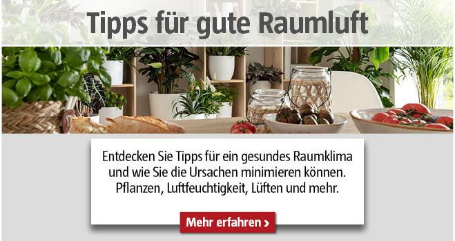 Tipps für gute Raumluft 