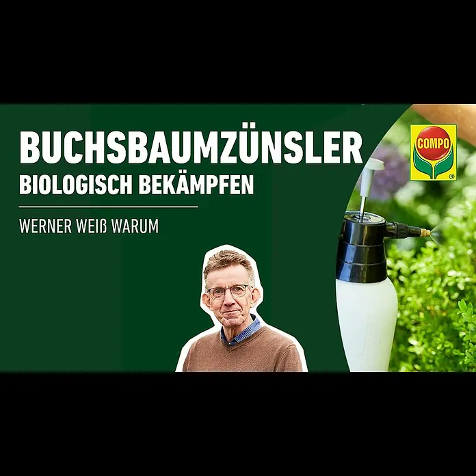 Compo Insektenschutzmittel Buchsbaumzünsler K.O. - 50 ml - Buchsbaumznsler biologisch bekmpfen | mit Neeml | COMPO BIO