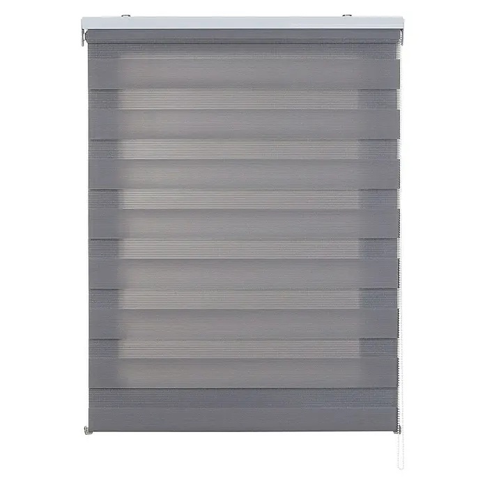 Estor noche y día Duolux - An x Al: 80 x 180 cm, Plateado - Estor enrollable doble gris con franjas alternas transparentes y opacas para regular la luz de forma individual en la habitación.
