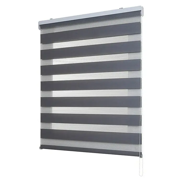 Estor noche y día Duolux - An x Al: 100 x 250 cm, Plateado - Estor enrollable dúo gris con franjas opacas y transparentes alternadas para control de luz y privacidad ajustable.