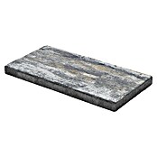 Terrassenplatte Latina (48 x 24 x 3 cm, Muschelkalk, Beton)