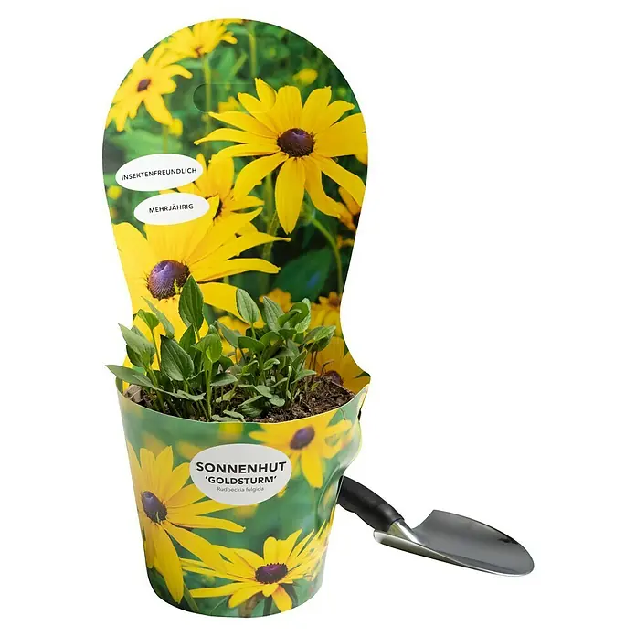 Piardino Sonnenhut - Rudbeckia fulgida Goldsturm, Topfgröße: 19 cm - Sonnenhut 'Goldsturm' im Topf, eine insektenfreundliche und mehrjährige Pflanze, ideal für jeden Garten. Inklusive kleiner Pflanzschaufel.
