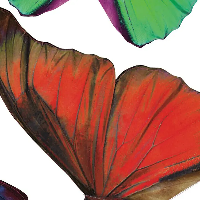 Vinilo de pared 3D Mariposa - Multicolor, Plástico - Primer plano de vibrantes alas de mariposa rojas y verdes, que muestran detalles intrincados y colores vivos.