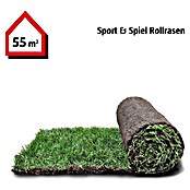 Piardino Rollrasen Flächenpaket (55 m², Sport- & Spielrasen) | BAUHAUS