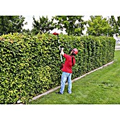 Einhell Power X-Change Cortasetos de batería (18 V, Iones de litio, Sin batería, Longitud de corte: 40 cm)