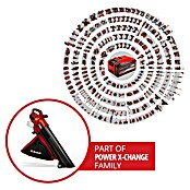 Einhell Professional PXC 18V Soplador/Aspirador de batería VENTURRO 36/240 (18 V, Sin batería, Velocidad de soplado: 240 km/h) | BAUHAUS