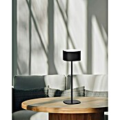 Ferotehna Punjiva stolna svjetiljka Lucy  (2 W, D x Š x V: 262 x 81 x 262 mm, Topla bijela, Crna) | BAUHAUS