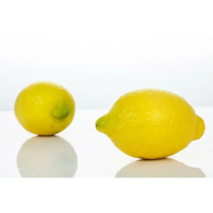 Zitronenbaum - Citrus limon, Topfgröße: 18 cm - Zwei leuchtend gelbe Zitronen, eine rund und eine länglich, liegen auf einer glänzenden, weißen Oberfläche.