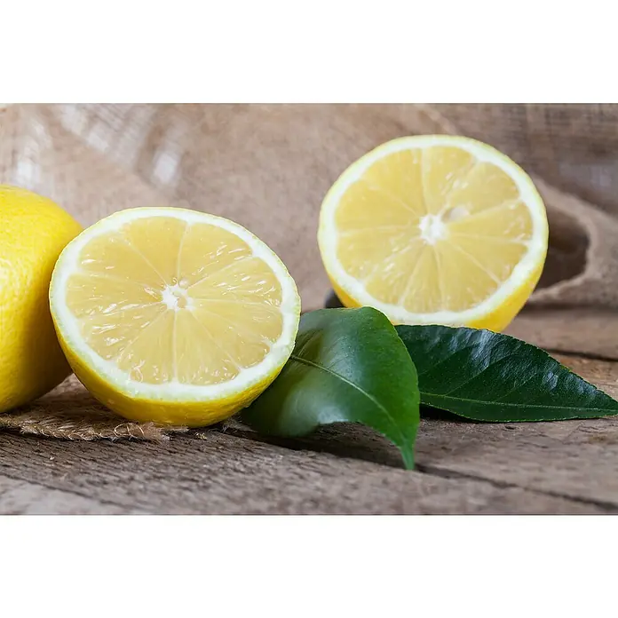 Zitronenbaum - Citrus limon, Topfgröße: 18 cm - Nahaufnahme von Zitronen, darunter eine halbe Zitrone, mit saftigem, gelbem Fruchtfleisch und einem grünen Blatt, auf einem rustikalen Holztisch.