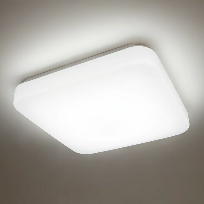 Philips Plafón LED Mauve SQ (17 W, Blanco, L x An x Al: 32,2 x 32,2 x 7,5 cm)
