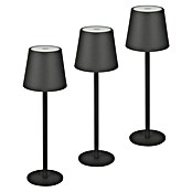 Starlux Paola Akumulatorska namizna svetilka Paola Mini  (3 kos, 1,6 W, Do x Š x V: 8,6 x 8,6 x 27 cm, Toplo bela, Črne barve) | 3111 - Akkuleuchte dekorativ | CAJB - Outdoorleuchten Akku | CAJ - Outdoorleuchten | CA - Beleuchtung | C - Elektro | BAUHAUS