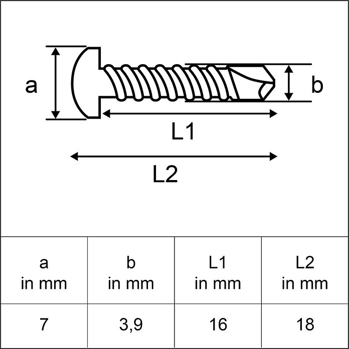 Sarei Schrauben Konsolenträger (3,9 mm, Verzinkt, 25 Stk.) | BAUHAUS