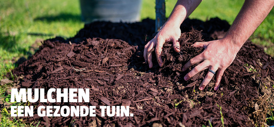 handen-in-mulch-hoop-in-tuin-bauhaus