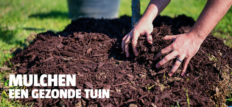 handen-in-mulch-hoop-in-tuin-bauhaus