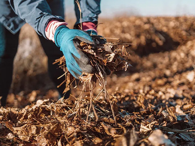 hand-verplaatst-herfstbladeren-in-tuin