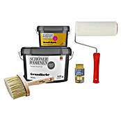 SCHÖNER WOHNEN-Farbe Trendstruktur Renovier-Set Metall-Optik (Mattgold, 5 -tlg., 1 l) | BAUHAUS