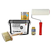SCHÖNER WOHNEN-Farbe Trendstruktur Renovier-Set Metall-Optik (Gold, 5 -tlg., 375 ml) | BAUHAUS