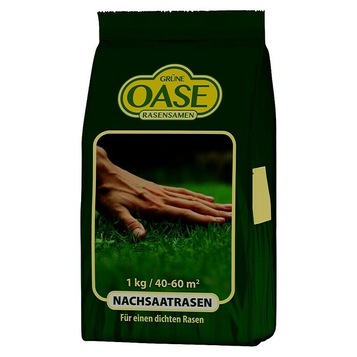 Nachsaat-Rasen Grüne Oase (1 kg, Saatgut ausreichend für: 60 m²) | BAUHAUS