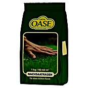 Nachsaat-Rasen Grüne Oase (1 kg, Saatgut ausreichend für: 60 m²) | BAUHAUS