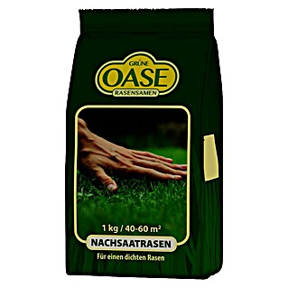Nachsaat-Rasen Grüne Oase (1 kg, Saatgut ausreichend für: 60 m²)