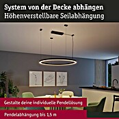 Paulmann Linion Abhängung Seil (L x B x H: 150 x 150 x 4 cm, Signalschwarz) | BAUHAUS