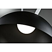 Paulmann ULine LED-Pendelleuchte rund Bol (12 W, Ø x H: 30 x 16 cm, Warmweiß, Schwarz) | BAUHAUS