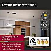 Paulmann Linion Stromeinspeisung Power Box (L x B x H: 10 x 36,5 x 4 cm, Signalschwarz, Dimmbar, 144 W) | BAUHAUS