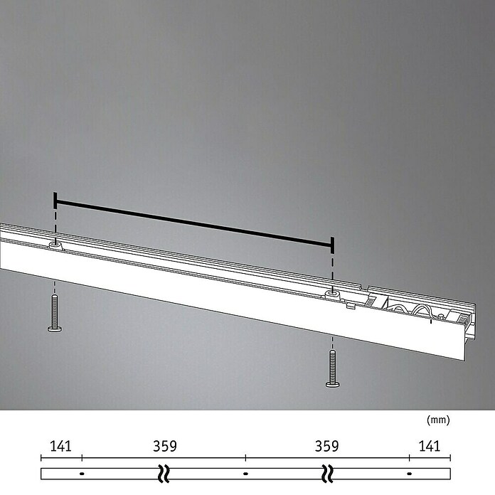 Paulmann Linion Stromeinspeisung Power Channel (100 x 4 x 4 cm, Chrom matt, Nicht Dimmbar) | BAUHAUS