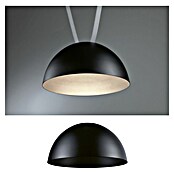 Paulmann ULine LED-Pendelleuchte rund Bol (12 W, Ø x H: 30 x 16 cm, Warmweiß, Schwarz) | BAUHAUS