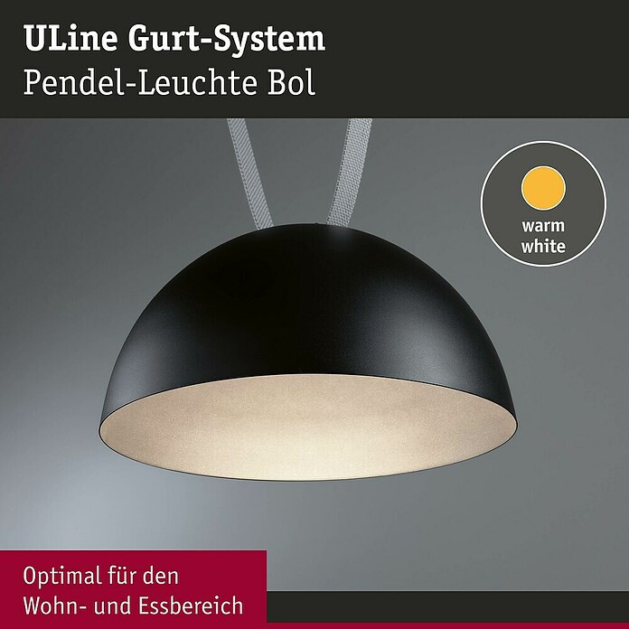 Paulmann ULine LED-Pendelleuchte rund Bol (12 W, Ø x H: 30 x 16 cm, Warmweiß, Schwarz) | BAUHAUS