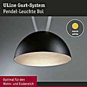 Paulmann ULine LED-Pendelleuchte rund Bol (12 W, Ø x H: 30 x 16 cm, Warmweiß, Schwarz) | BAUHAUS