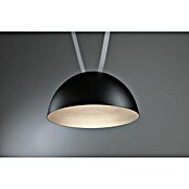 Paulmann ULine LED-Pendelleuchte rund Bol (12 W, Ø x H: 30 x 16 cm, Warmweiß, Schwarz) | BAUHAUS