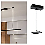 Paulmann Linion Abhängung Seil (L x B x H: 150 x 150 x 4 cm, Signalschwarz) | BAUHAUS
