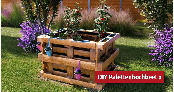 DIY Palettenhochbeet