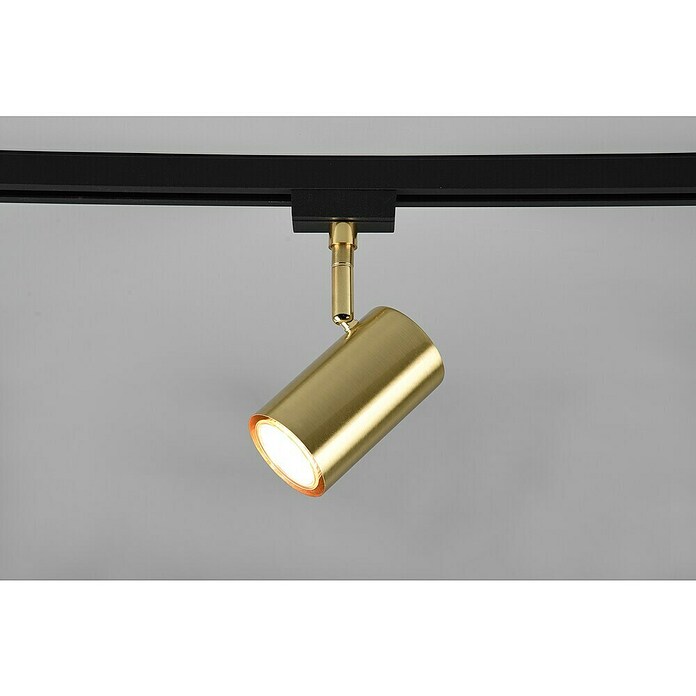 Trio Lighting Marley Led-plafondspot voor DUOline-railsysteem (l x b x h: 6 x 10,2 x 16 cm) | BAUHAUS
