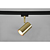 Trio Lighting Marley Led-plafondspot voor DUOline-railsysteem (l x b x h: 6 x 10,2 x 16 cm) | BAUHAUS