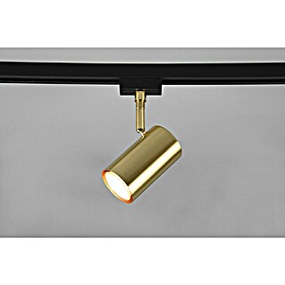 Trio Lighting Marley Led-plafondspot voor DUOline-railsysteem (l x b x h: 6 x 10,2 x 16 cm)